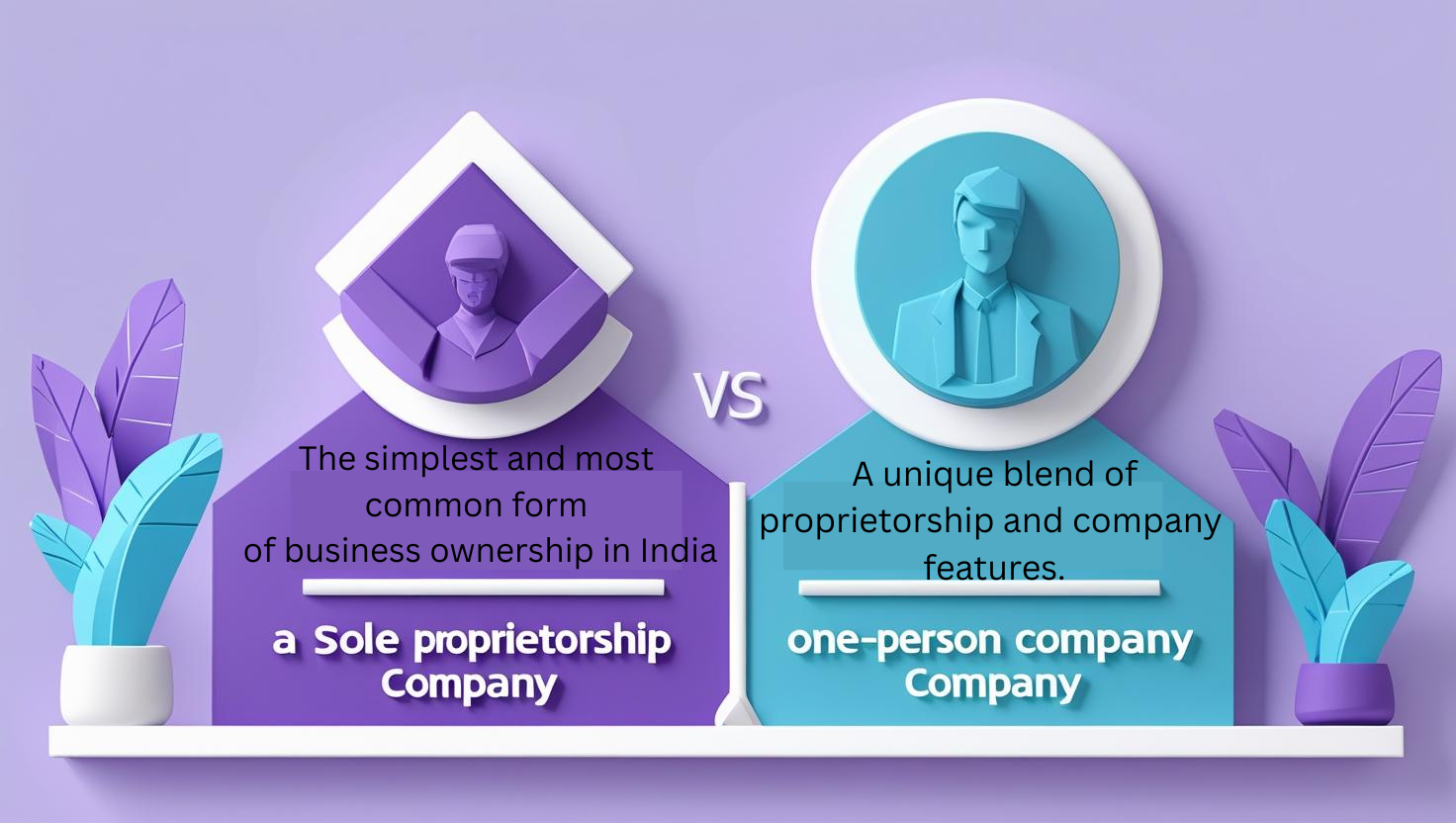 Sole proprietorship vs OPC