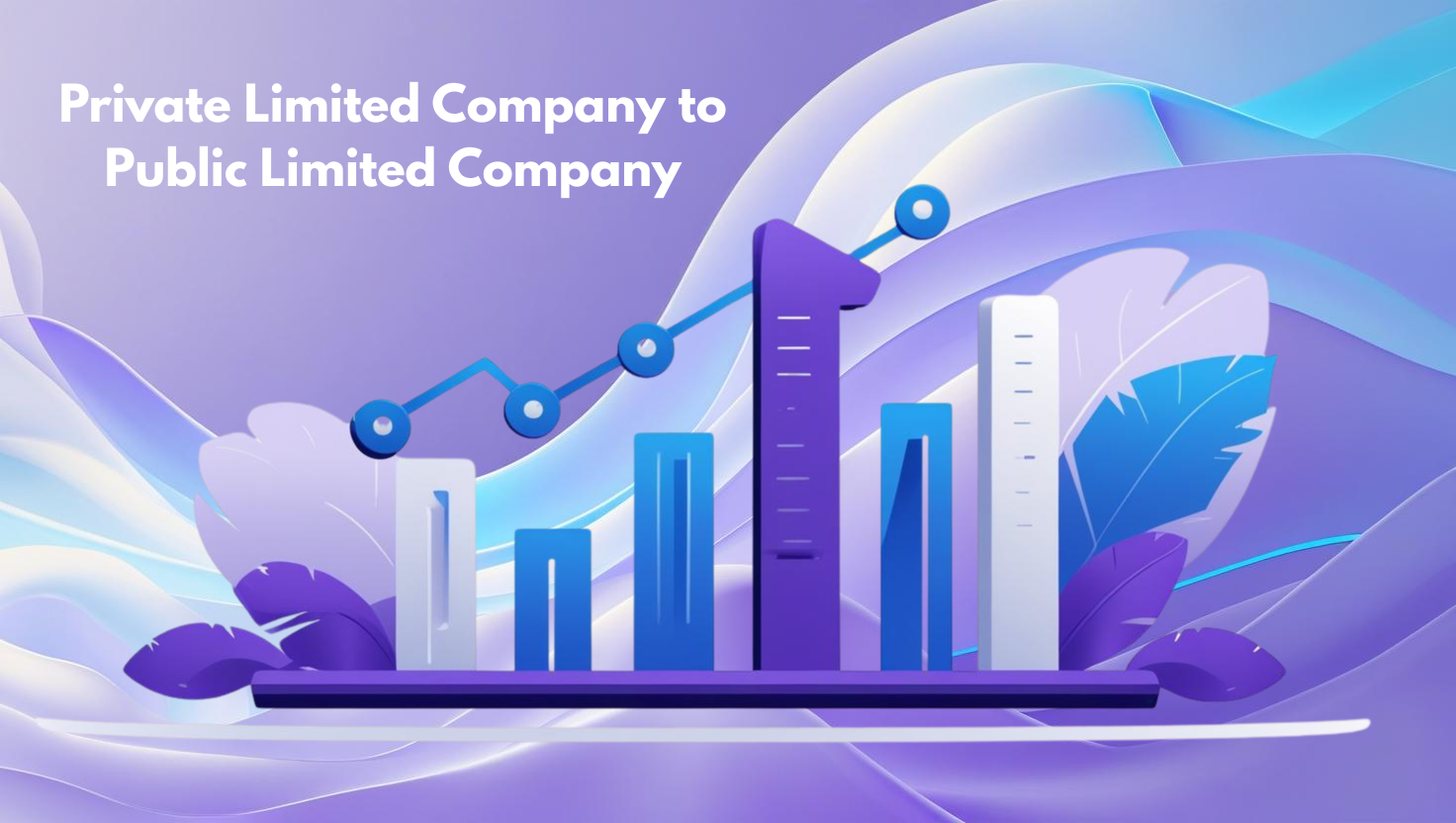 Private Ltd to Public Ltd company